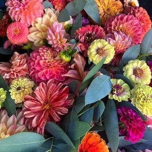 Meet your Posher, Emma